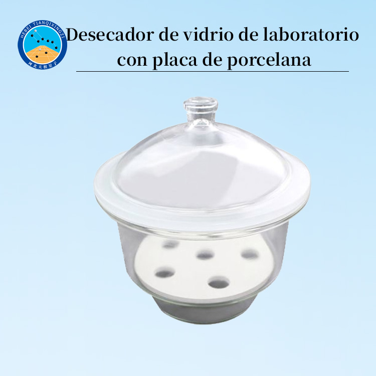 Desecador de vidrio de laboratorio con placa de porcelana
